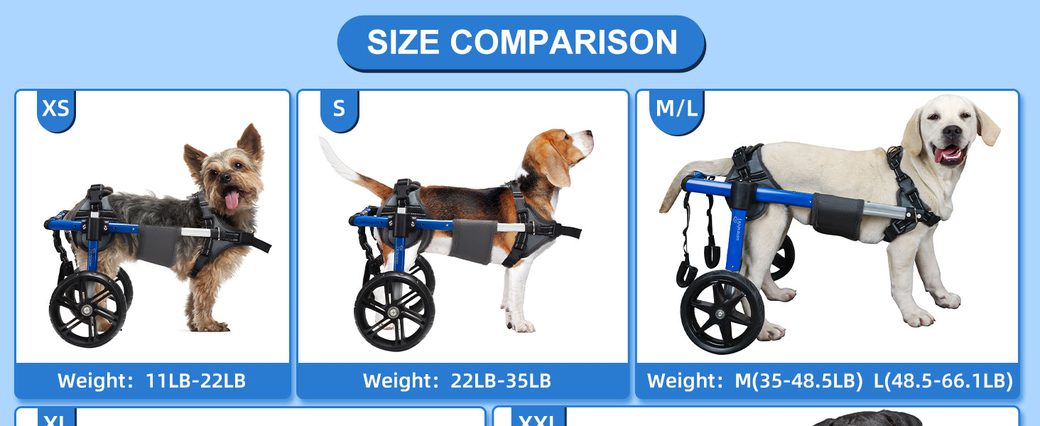 Adjustable Dog Wheelchair for Back Legs – Large Size with All-Terrain Wheels