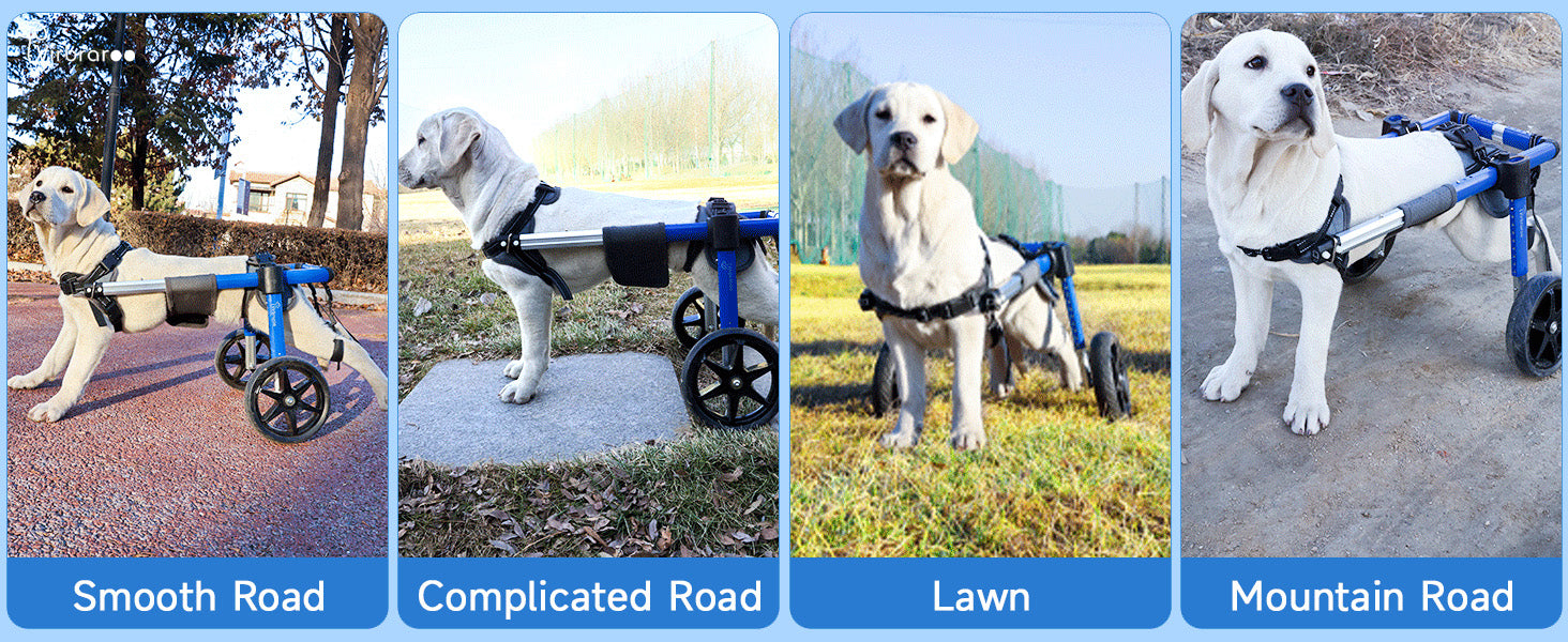 Adjustable Dog Wheelchair for Back Legs – Large Size with All-Terrain Wheels
