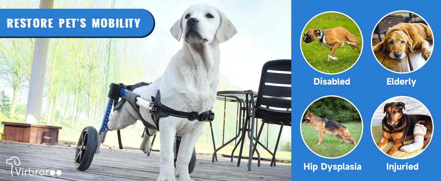 Adjustable Dog Wheelchair for Back Legs – Large Size with All-Terrain Wheels