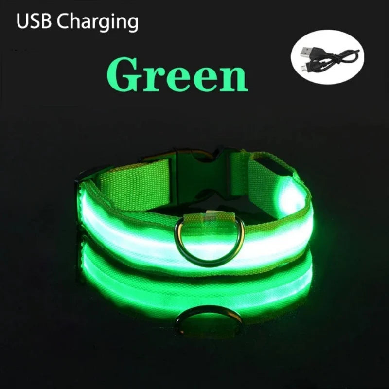 LED Luminous Dog Collar – Adjustable USB Rechargeable Glowing Pet Collar, Anti-Lost & Safety Flashing Light