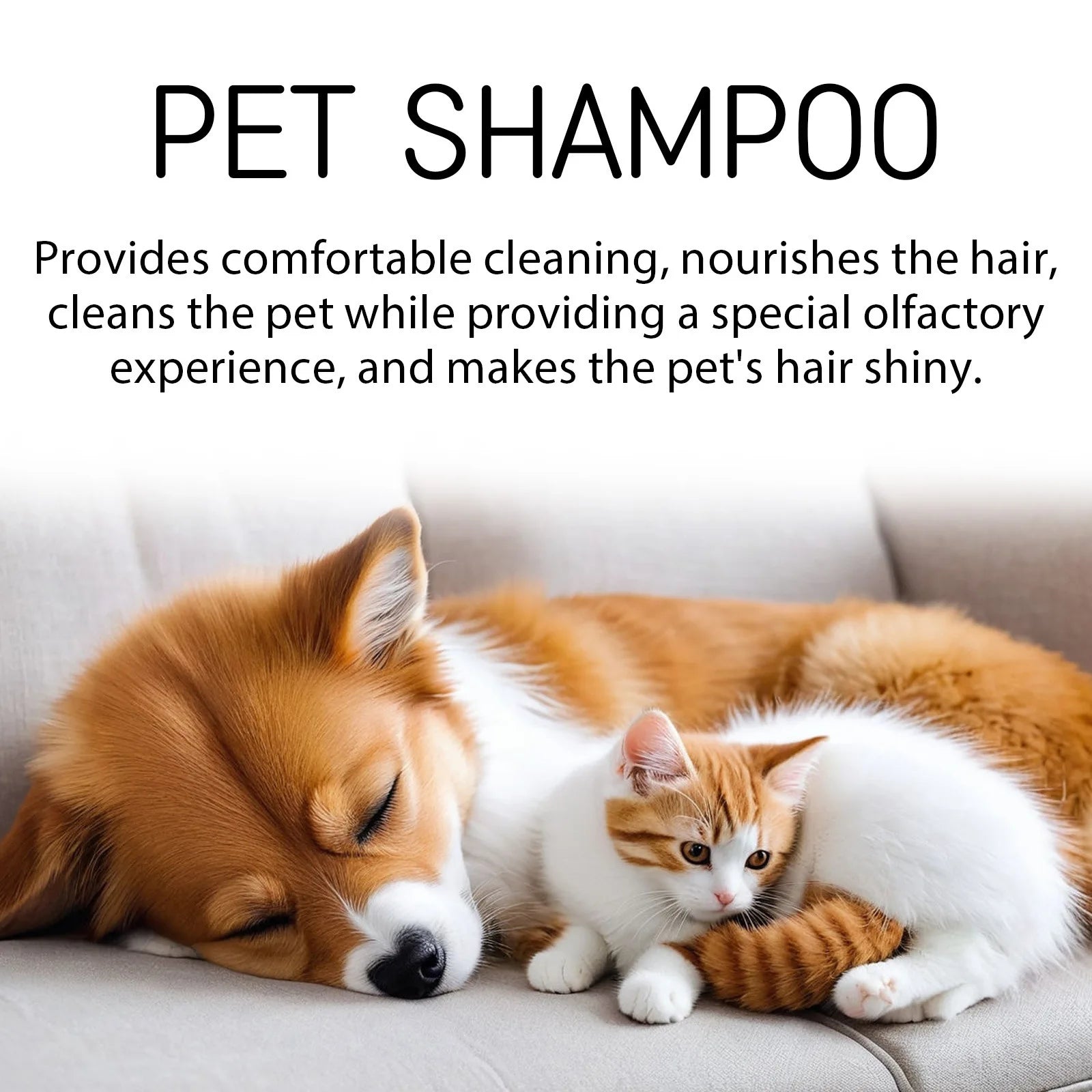 Pet Wash Dog Shampoo – Anti-Flea, Deodorizing & Moisturizing Formula, Removes Dirt & Mites, Relieves Itching