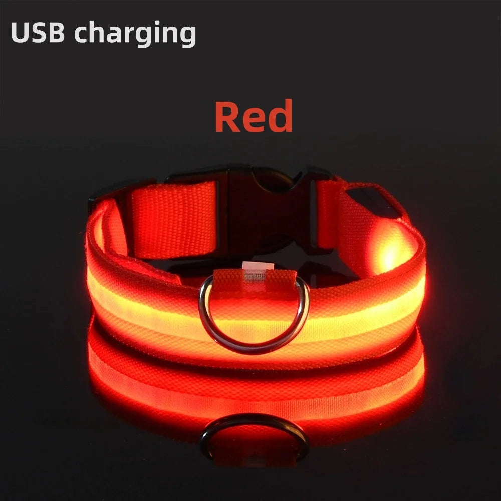 LED Luminous Dog Collar – Adjustable USB Rechargeable Glowing Pet Collar, Anti-Lost & Safety Flashing Light
