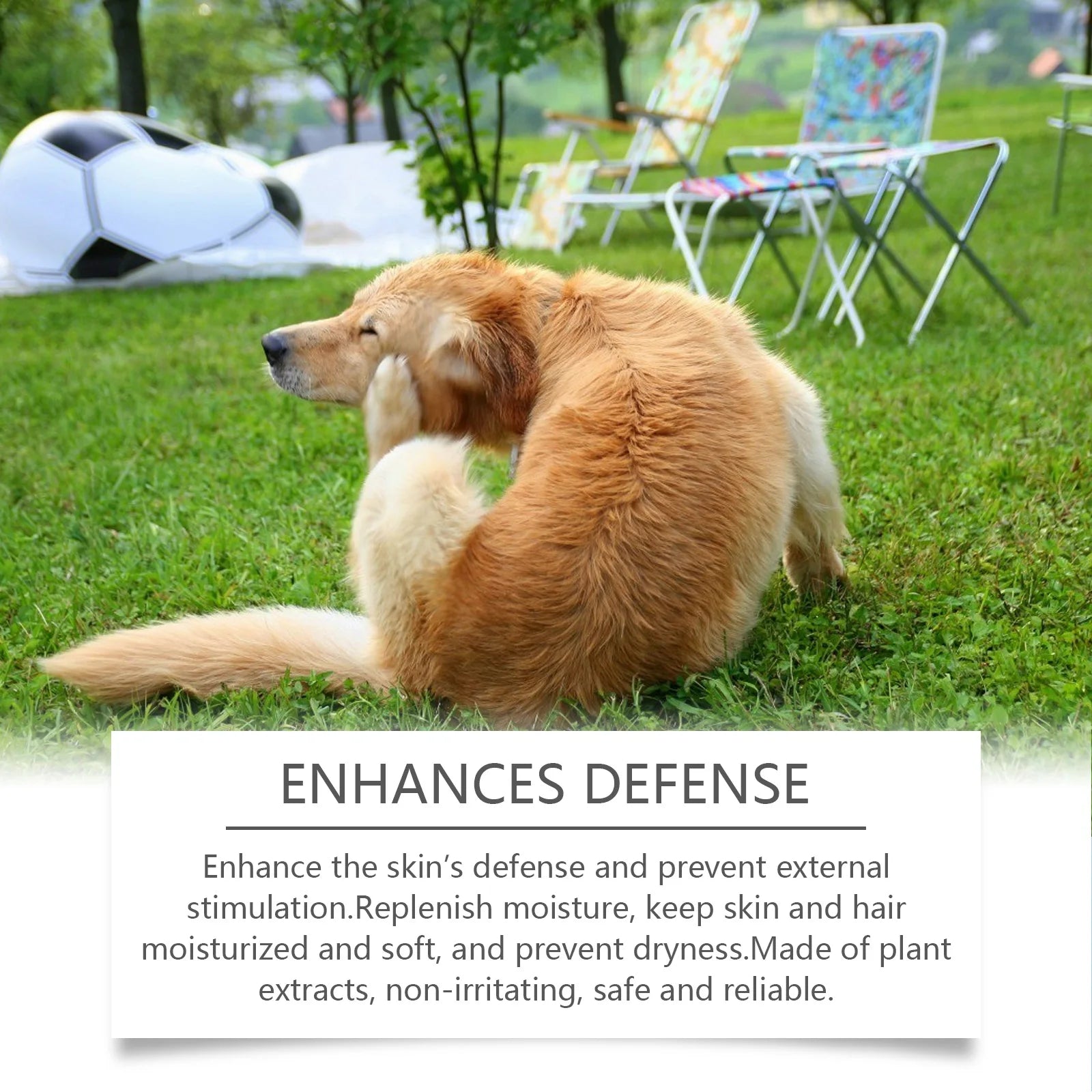 Yegbong 100ml Dog Itch Relief Shampoo – Nourishing, Hydrating, Deodorizing Pet Wash for Soft Fur & Healthy Skin
