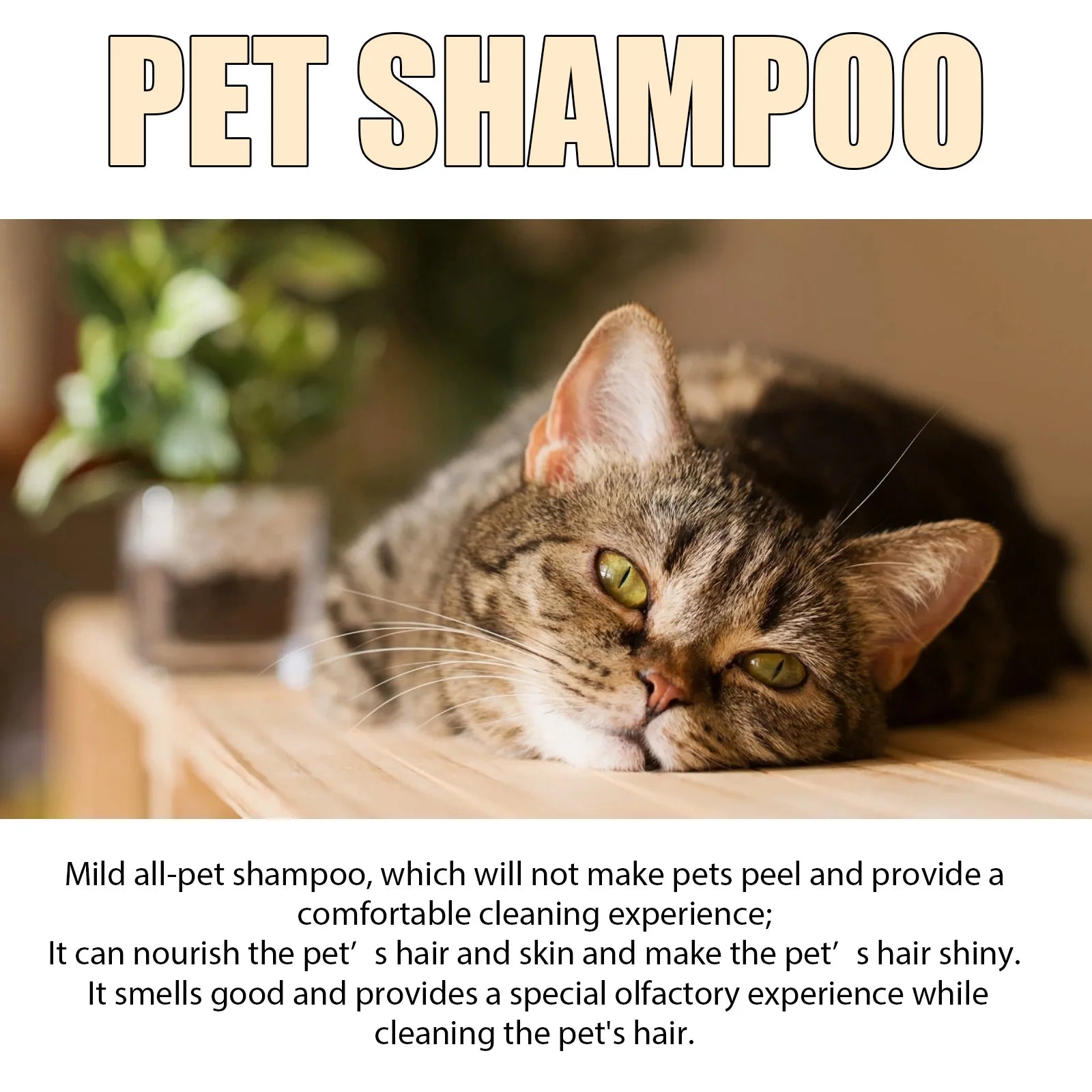 Yegbong Pet Hair Cleaning Shampoo for Cats & Dogs – Stain Removal, Mite Control, Itch Relief & Deodorizing Formula