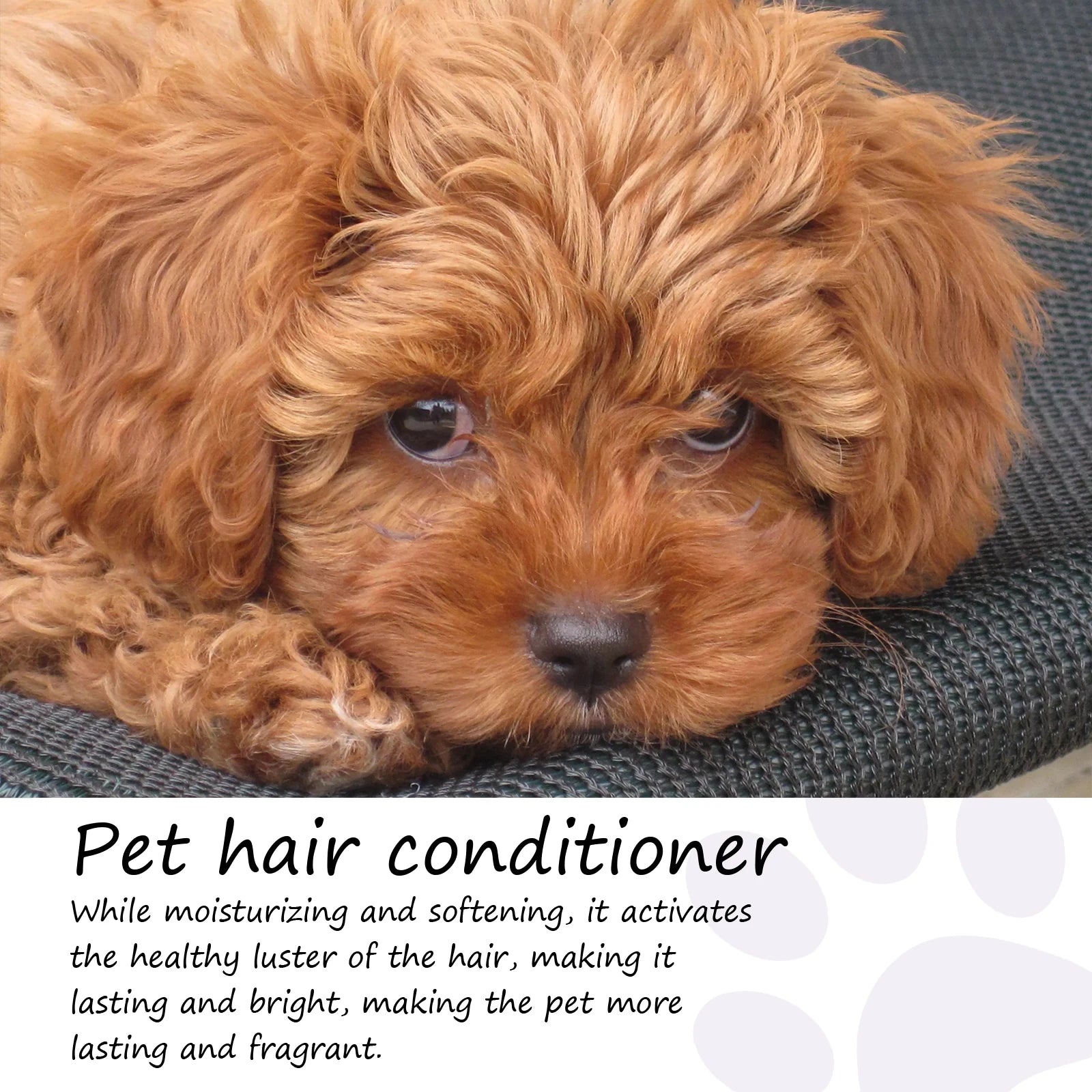 50ml Pet Hair Care Cream – Non-Knotted Conditioner for Dogs & Cats, Moisturizing Fur Cream for Dry Skin & Shiny Coat