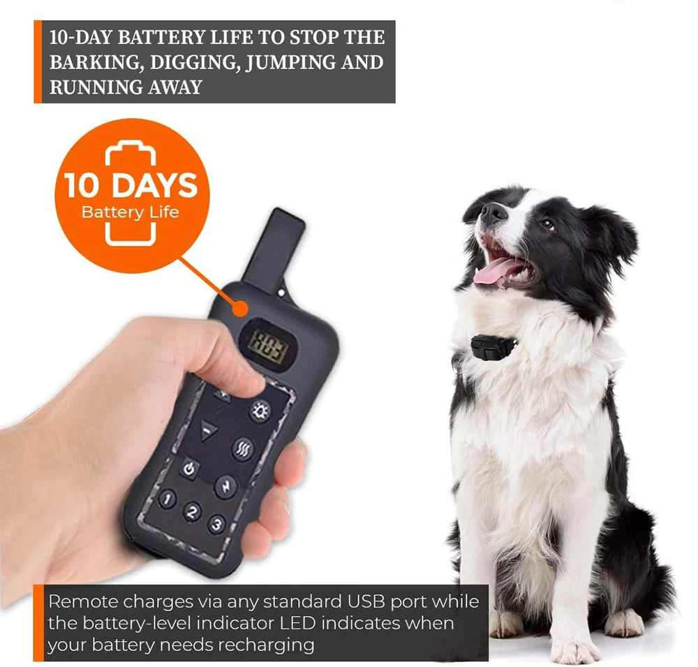 Wireless Dog Fence System with Remote ā Electric Shock Collar Training & Pet Containment System with 150M Wire