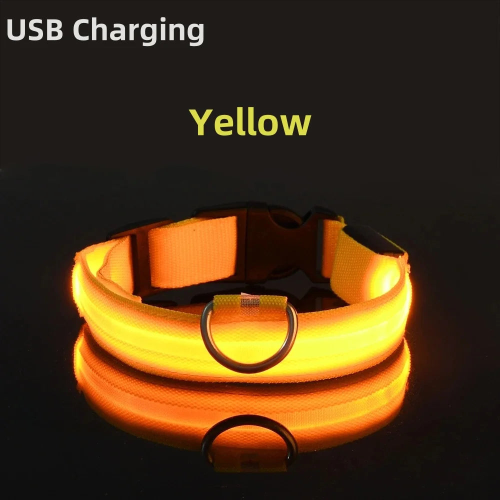 LED Luminous Dog Collar – Adjustable USB Rechargeable Glowing Pet Collar, Anti-Lost & Safety Flashing Light