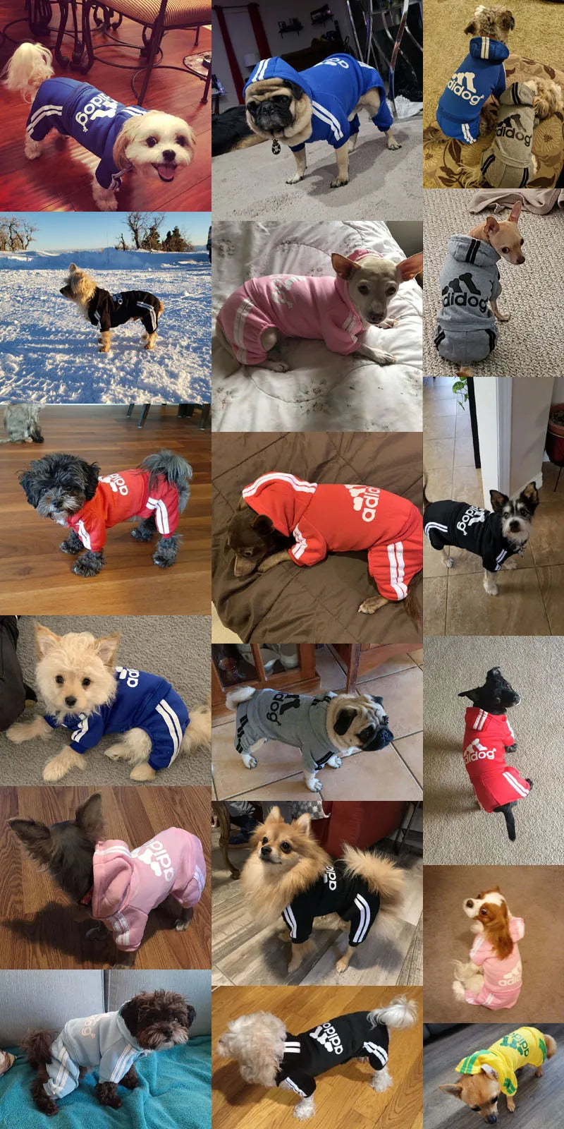 Winter Dog Sweatshirt – “Adidog” Pet Coat for Small & Medium Dogs