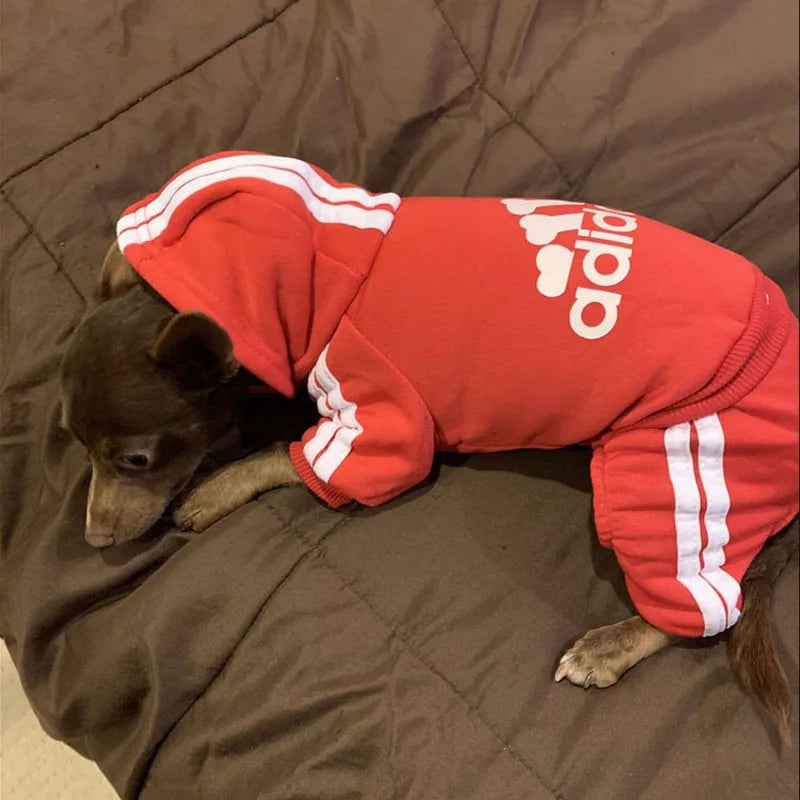 Winter Dog Sweatshirt – “Adidog” Pet Coat for Small & Medium Dogs