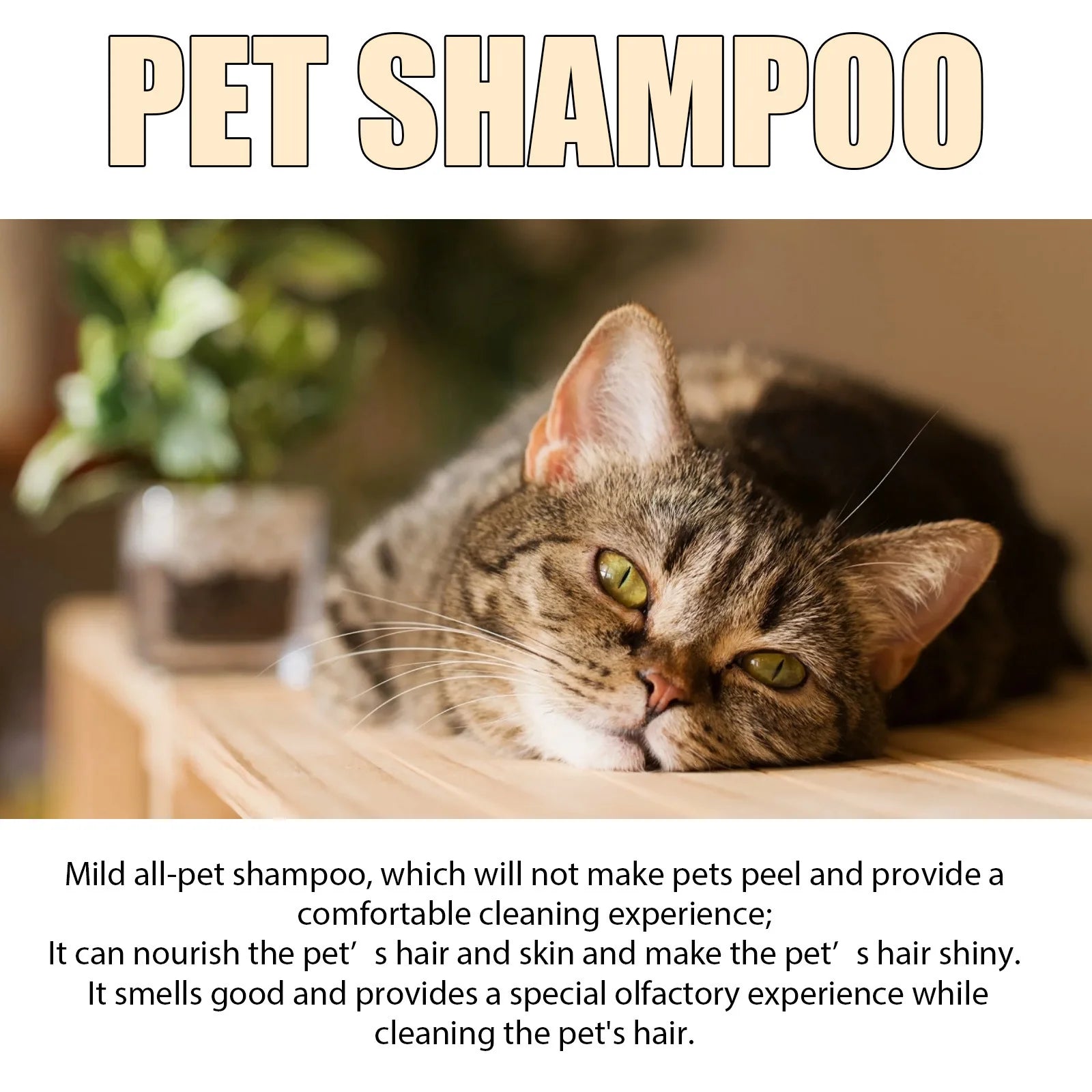 Pet Wash Dog Shampoo – Anti-Flea, Deodorizing & Moisturizing Formula, Removes Dirt & Mites, Relieves Itching