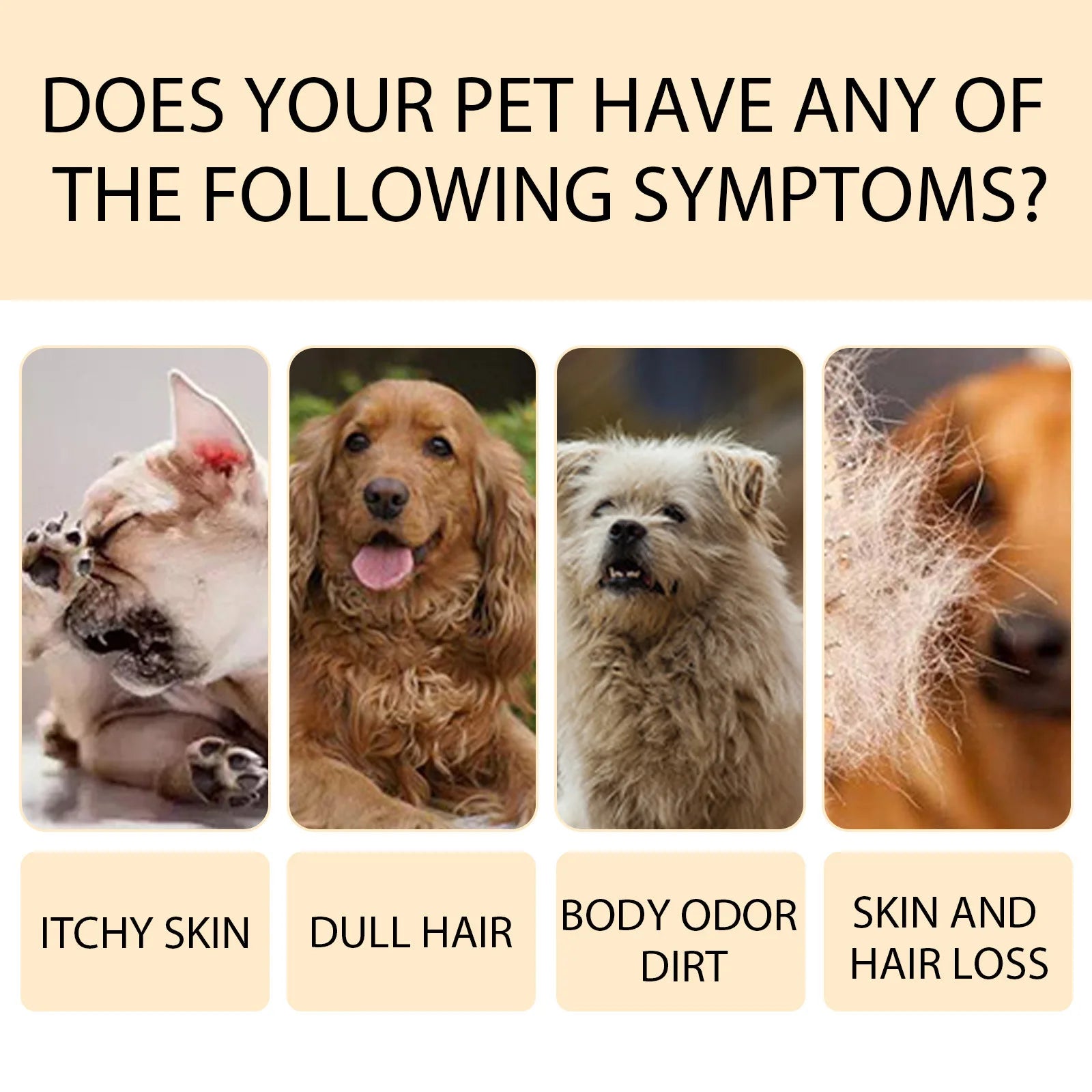 Pet Wash Dog Shampoo – Anti-Flea, Deodorizing & Moisturizing Formula, Removes Dirt & Mites, Relieves Itching