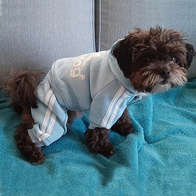 Winter Dog Sweatshirt – “Adidog” Pet Coat for Small & Medium Dogs