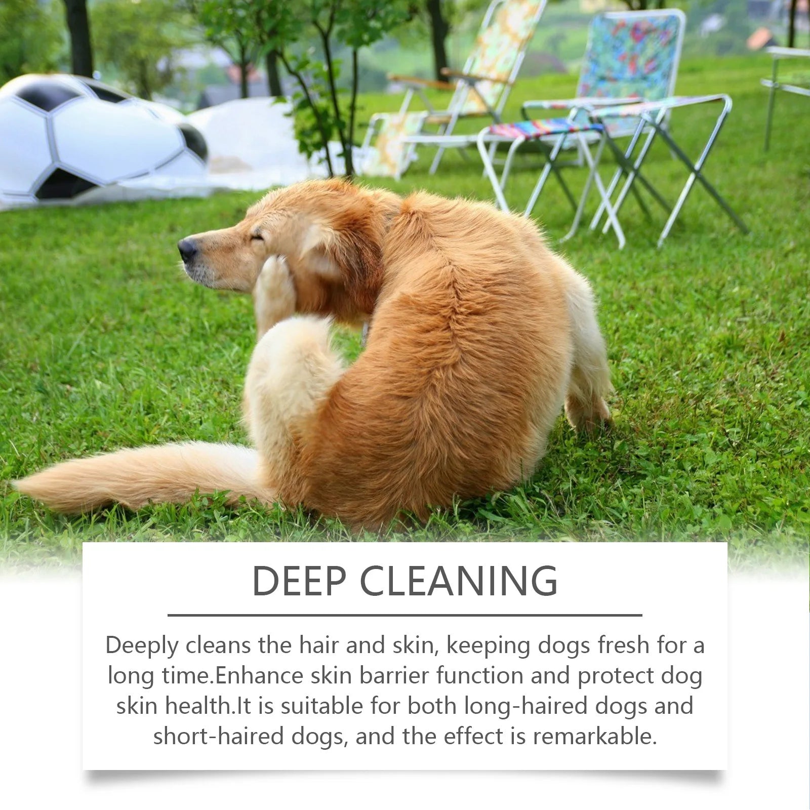 Yegbong 100ml Hypoallergenic Dog Shampoo – Gentle Bath Wash for Itchy Skin Relief, Hair Softening & Fur Nourishment