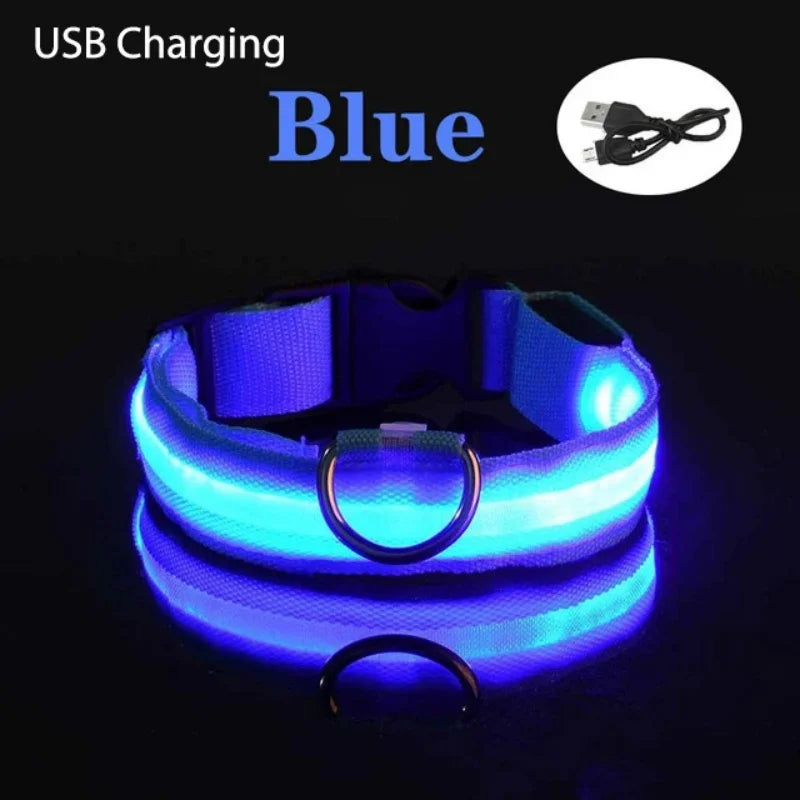 LED Luminous Dog Collar – Adjustable USB Rechargeable Glowing Pet Collar, Anti-Lost & Safety Flashing Light