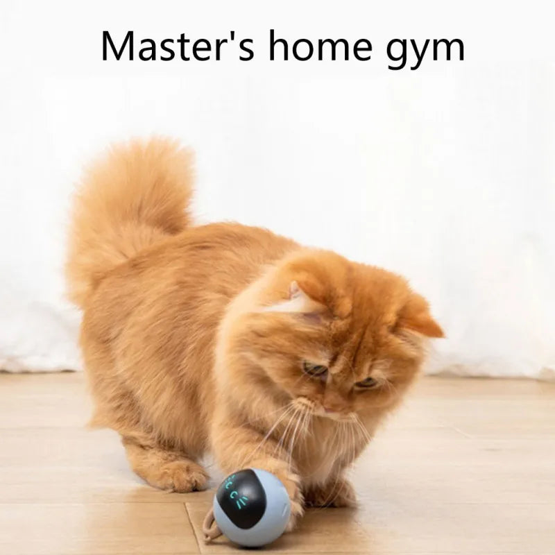 Smart Cat Toy – USB Rechargeable Automatic Electric Jumping & Self-Rotating Ball for Cats, Kittens, Dogs & Kids