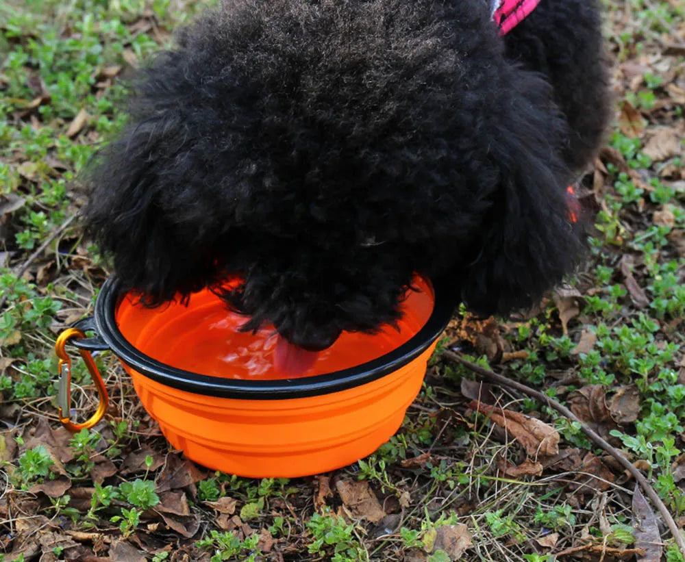 Collapsible Silicone Pet Bowl – Portable Food and Water Dish for Travel, Camping, and Outdoor Use