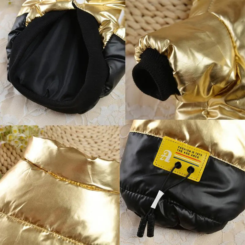 Winter Dog Jacket – Thick Cotton-Padded Coat with Stand-Up Collar for Small Dogs & Puppies