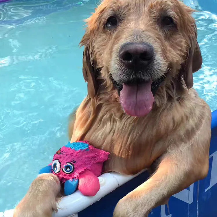 Squeaker Interactive Dog Toy Ball – Bite-Resistant Chew & Training Ball for Small & Large Dogs