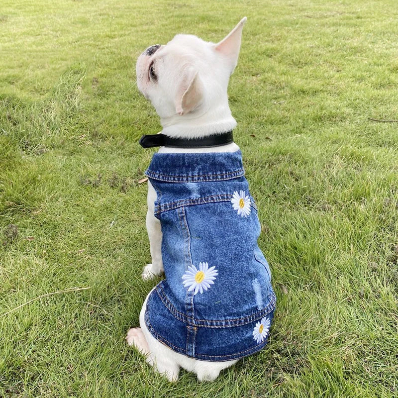 Denim Dog Jacket – AXS–2XL Cowboy Style Jean Vest Coat for Small Dogs & Cats