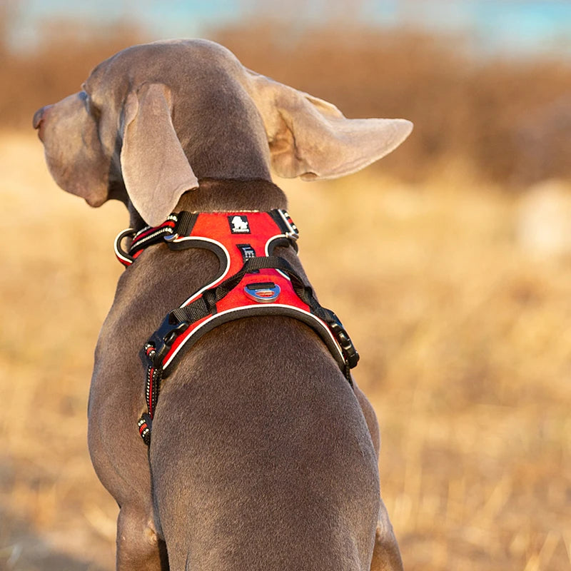 Truelove Reflective No-Pull Dog Harness – Adjustable Safety Vest for Medium & Large Dogs