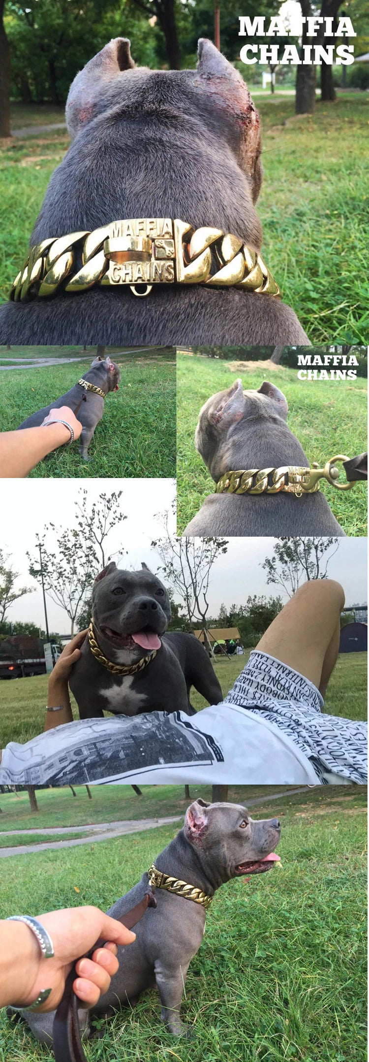 Heavy-Duty Stainless Steel Dog Collar – Adjustable Chain Collar for Large Breeds (Bully, Doberman, Pitbull, Bulldog)