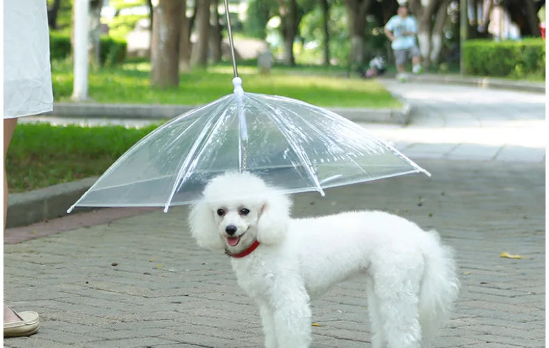 Pet Umbrella Leash – Rain & Snow Protection for Small Dogs, Adjustable Handle