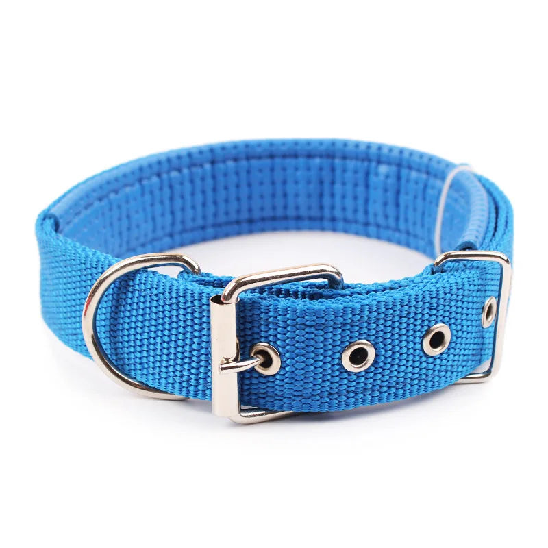 Solid Nylon Dog Collar – Adjustable Everyday Collar for Small, Medium & Large Dogs
