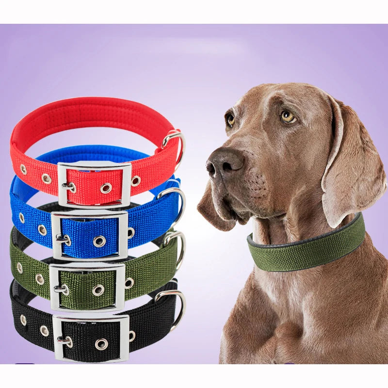 Solid Nylon Dog Collar – Adjustable Everyday Collar for Small, Medium & Large Dogs