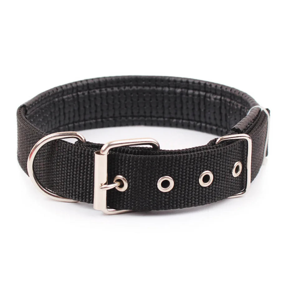 Solid Nylon Dog Collar – Adjustable Everyday Collar for Small, Medium & Large Dogs