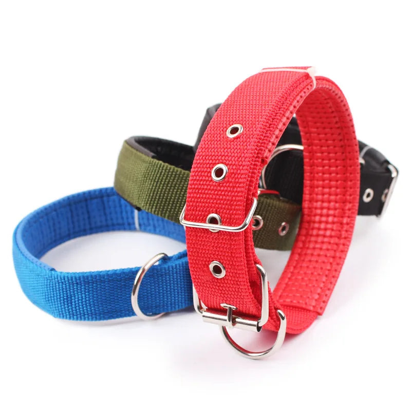 Solid Nylon Dog Collar – Adjustable Everyday Collar for Small, Medium & Large Dogs