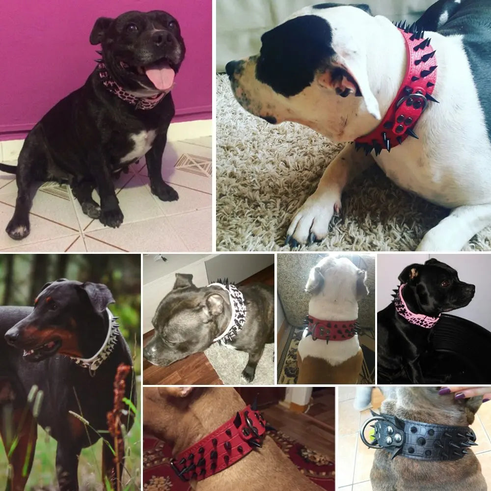 2" Wide Spiked Leather Dog Collar – Adjustable Studded Collar for Medium & Large Dogs (S/M/L/XL)
