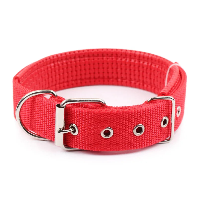Solid Nylon Dog Collar – Adjustable Everyday Collar for Small, Medium & Large Dogs