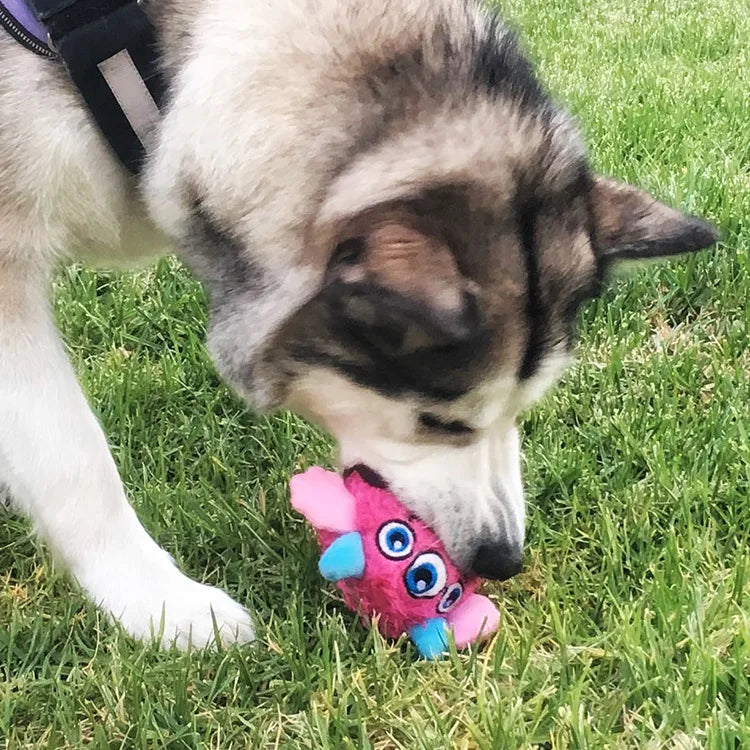 Squeaker Interactive Dog Toy Ball – Bite-Resistant Chew & Training Ball for Small & Large Dogs