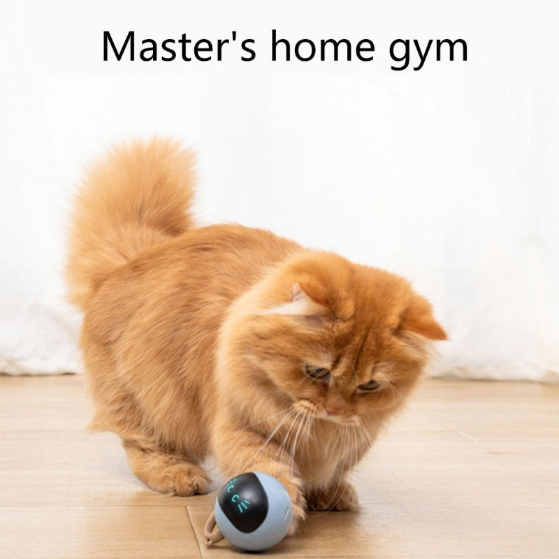 Smart Cat Toy – USB Rechargeable Automatic Electric Jumping & Self-Rotating Ball for Cats, Kittens, Dogs & Kids