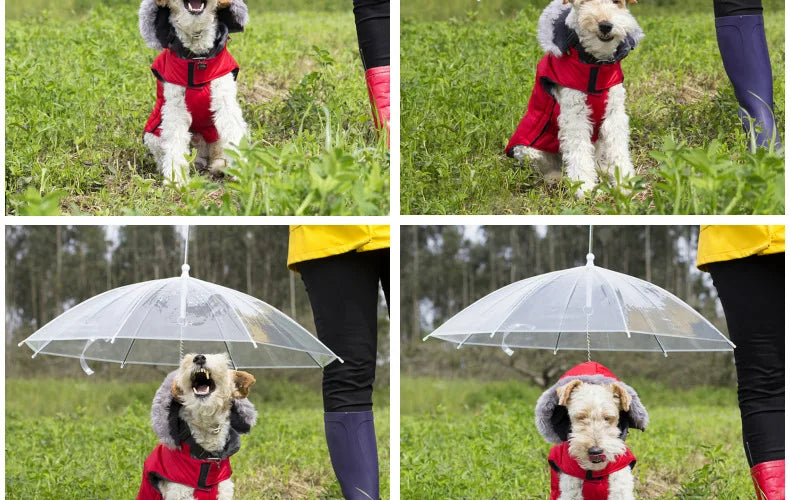 Pet Umbrella Leash – Rain & Snow Protection for Small Dogs, Adjustable Handle