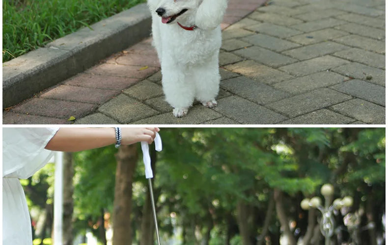 Pet Umbrella Leash – Rain & Snow Protection for Small Dogs, Adjustable Handle