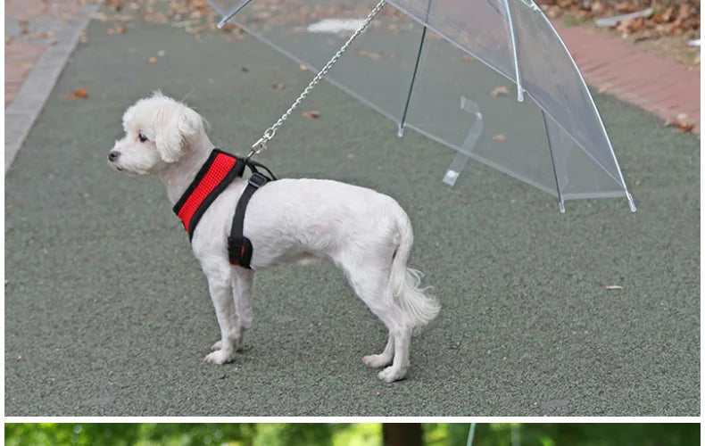 Pet Umbrella Leash – Rain & Snow Protection for Small Dogs, Adjustable Handle
