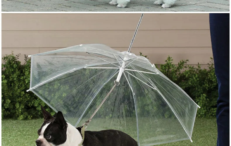 Pet Umbrella Leash – Rain & Snow Protection for Small Dogs, Adjustable Handle