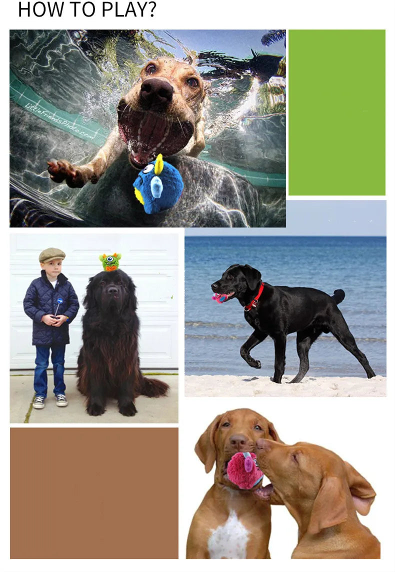 Squeaker Interactive Dog Toy Ball – Bite-Resistant Chew & Training Ball for Small & Large Dogs
