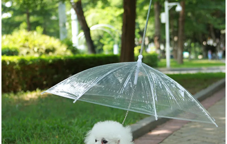 Pet Umbrella Leash – Rain & Snow Protection for Small Dogs, Adjustable Handle