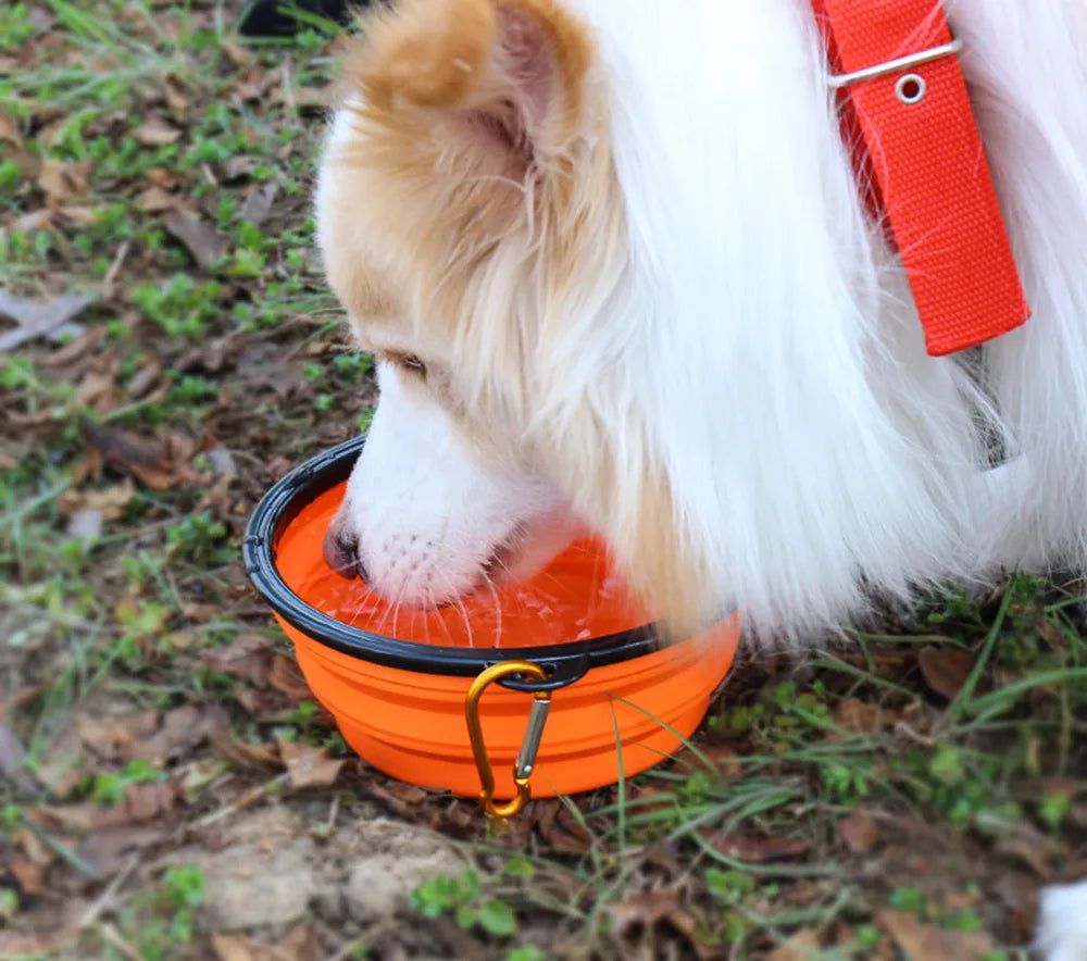Collapsible Silicone Pet Bowl – Portable Food and Water Dish for Travel, Camping, and Outdoor Use