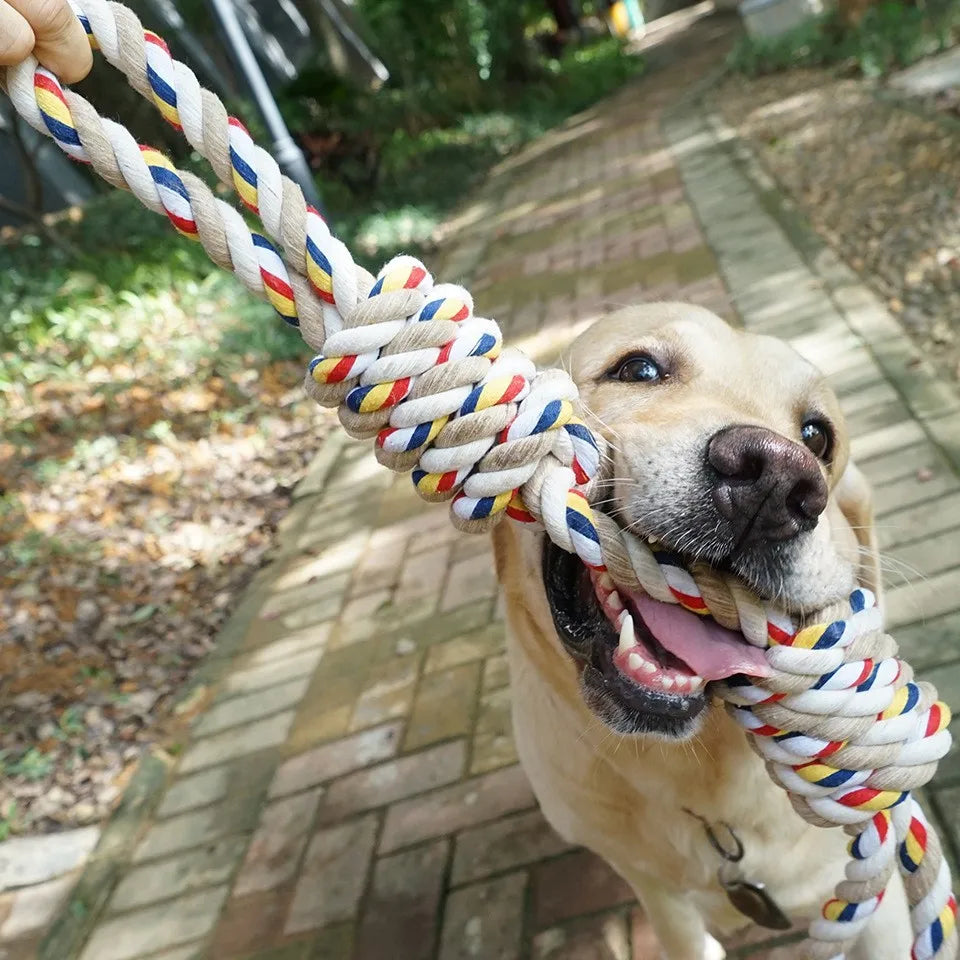 Bite-Resistant Rope Knot Toy – Durable Chew Toy for Medium & Large Dogs