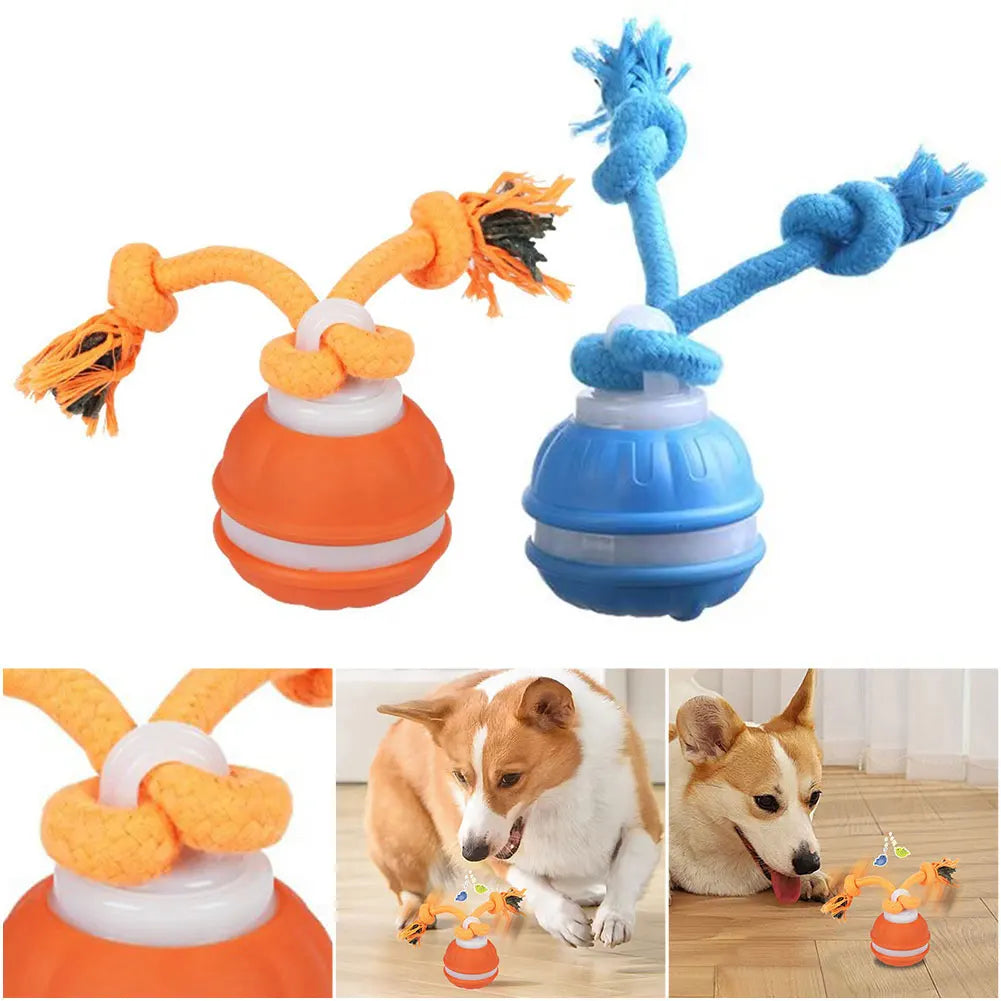 Interactive Dog Toy Ball – USB Rechargeable Motion-Activated Ball with Rope & Squeaker for Small & Medium Dogs, Puppy Play Toy
