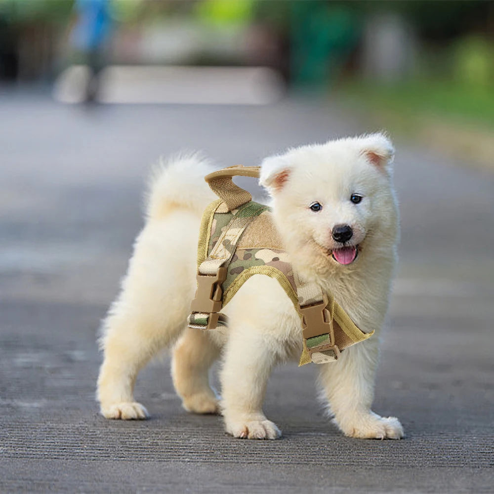 Tactical Cat Harness and Leash Set – Adjustable Vest with 9 Patches for Small Dogs and Cats