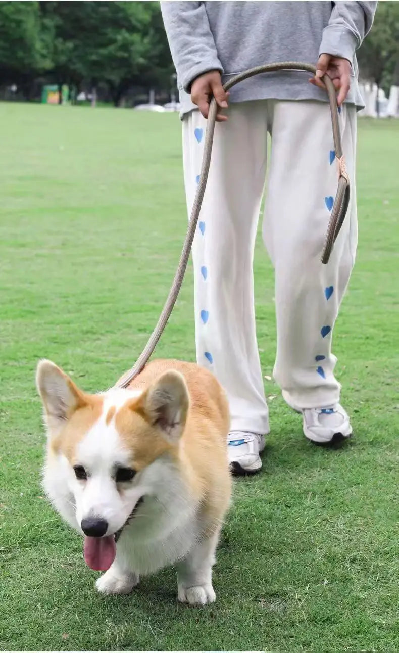 No-Pull Rope Slip Collar – P-Shaped Dog Training Leash with Durable Leather Joints & Adjustable Metal Buckle