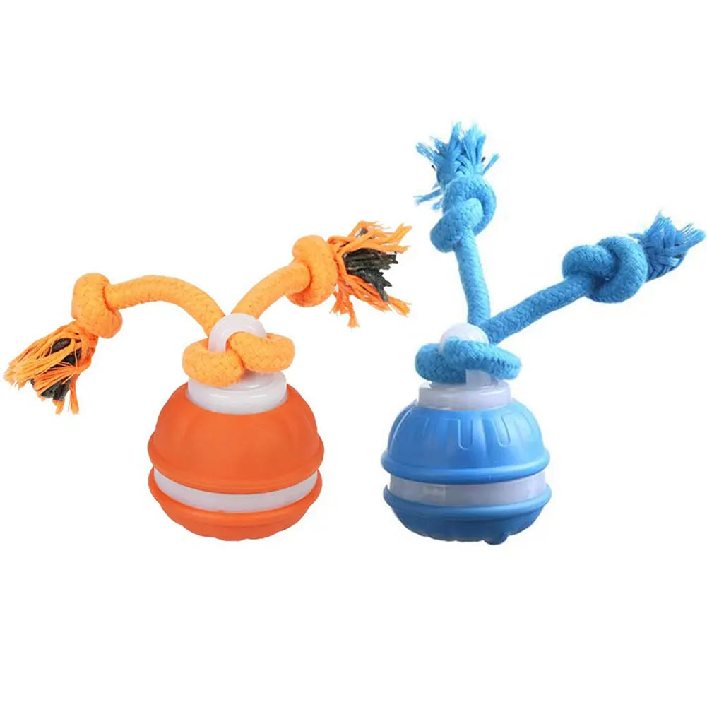 Interactive Dog Toy Ball – USB Rechargeable Motion-Activated Ball with Rope & Squeaker for Small & Medium Dogs, Puppy Play Toy