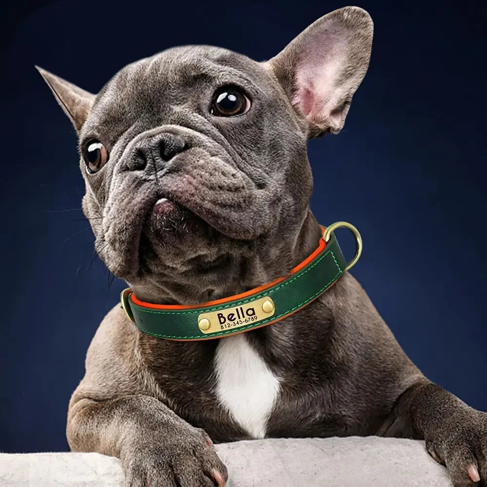 ersonalized Leather Dog Collar with Engraved ID Nameplate – Soft Padded Custom Collar for Small, Medium & Large Dogs