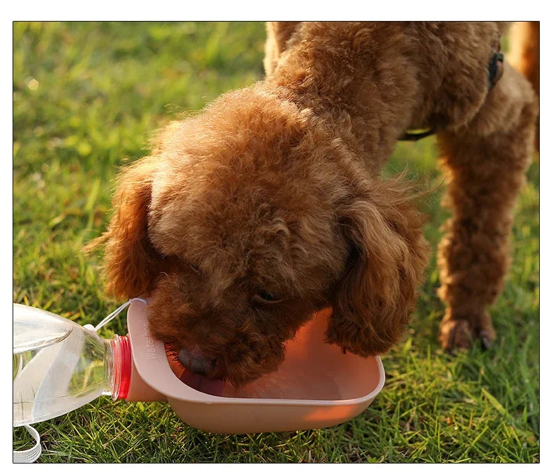Portable Dog Travel Water Bottle – Outdoor Pet Water Feeder for Dogs & Cats