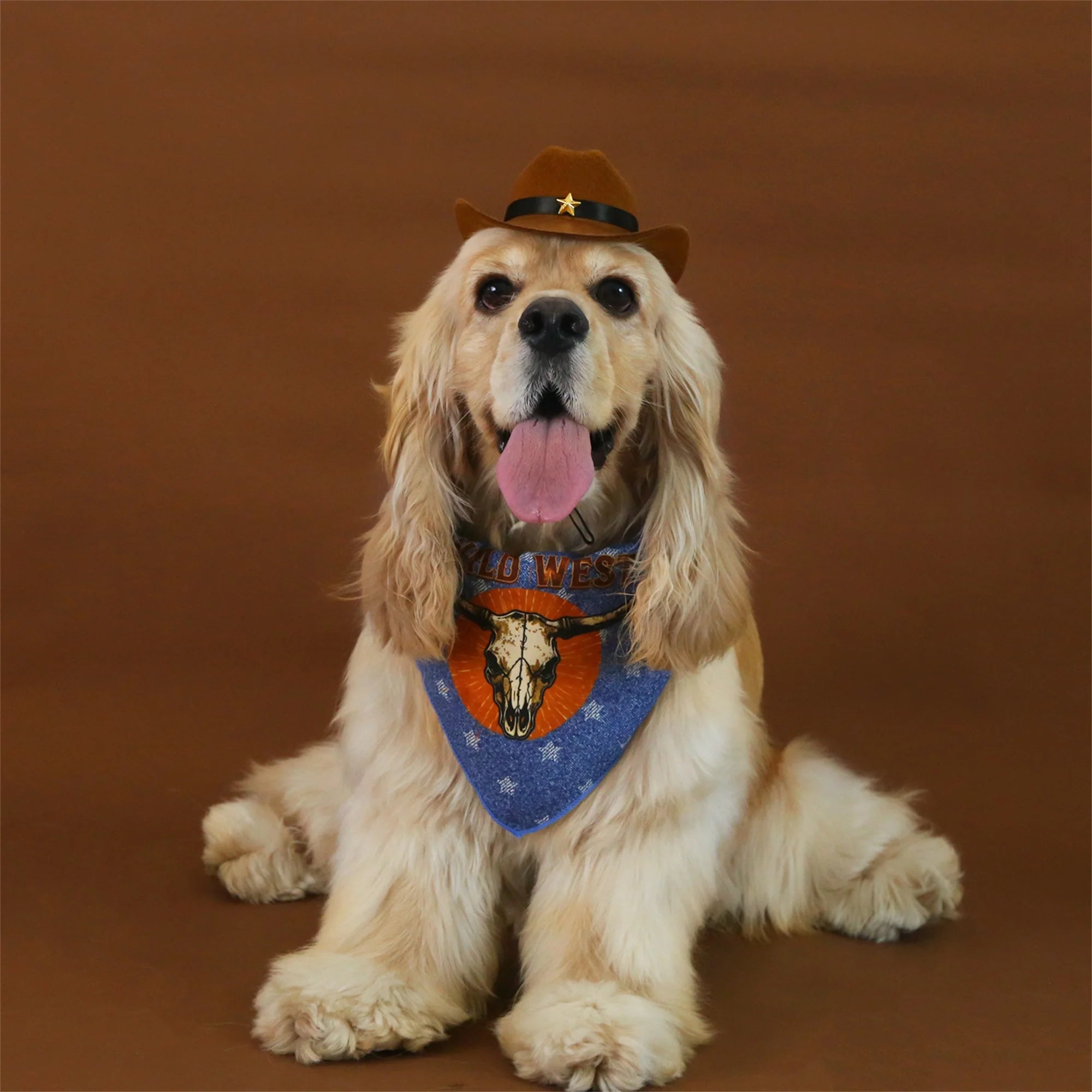 Dog Cowboy Costume – Wild West Hat & Paisley Bandana Set for Small Pets Halloween