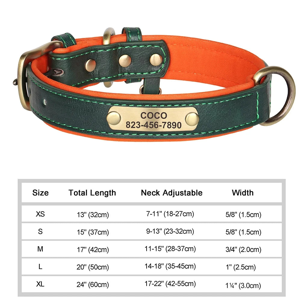 ersonalized Leather Dog Collar with Engraved ID Nameplate – Soft Padded Custom Collar for Small, Medium & Large Dogs